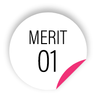 MERIT 01