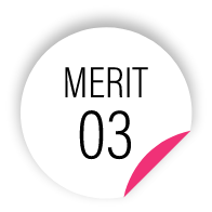 MERIT 03